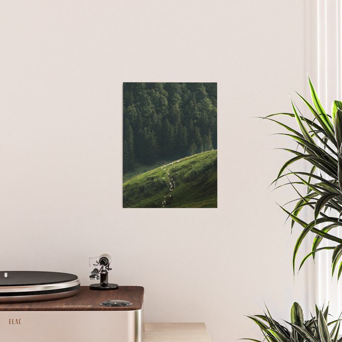 Sheep Trail in a Forest during a calm morning Poster Gallery Image 2