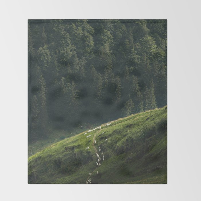 Sheep Trail in a Forest during a calm morning Throw Blanket Gallery Image 2