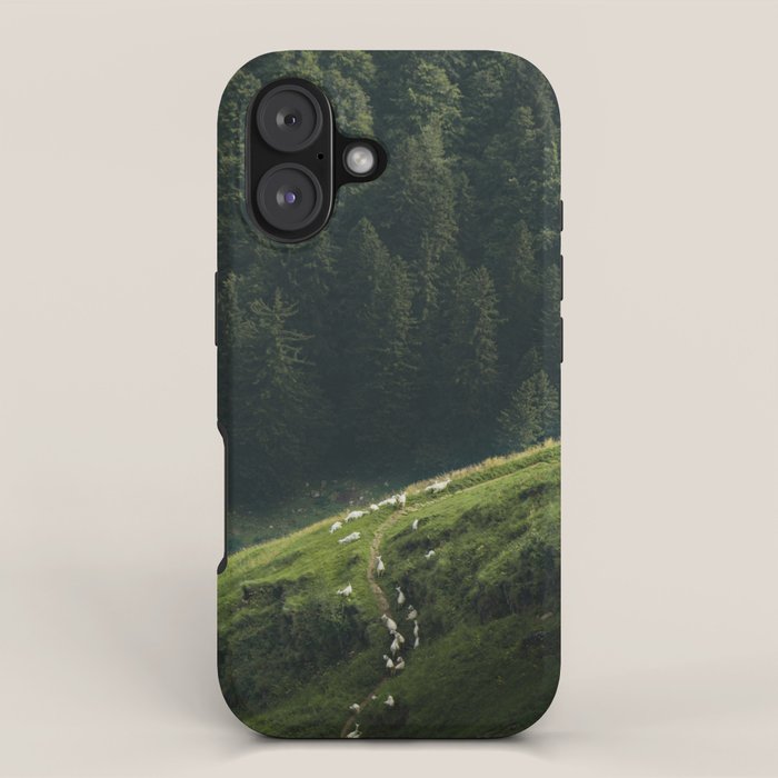 Sheep Trail in a Forest during a calm morning iPhone Case Gallery Image 1