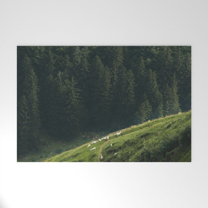 Sheep Trail in a Forest during a calm morning Welcome Mat Gallery Image 1