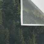 Sheep Trail in a Forest during a calm morning Wall Tapestry Gallery Image 3