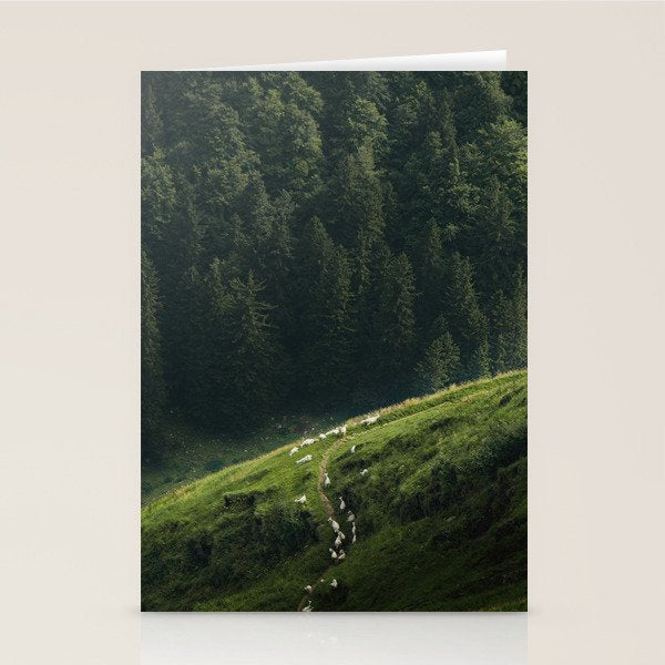 Sheep Trail in a Forest during a calm morning Stationery Card Gallery Image 2