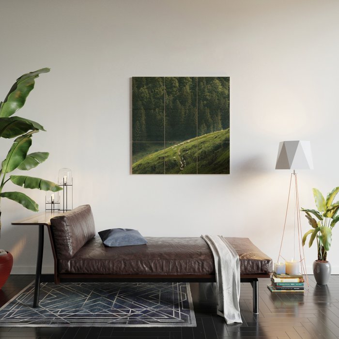 Sheep Trail in a Forest during a calm morning Wood Wall Art Gallery Image 2