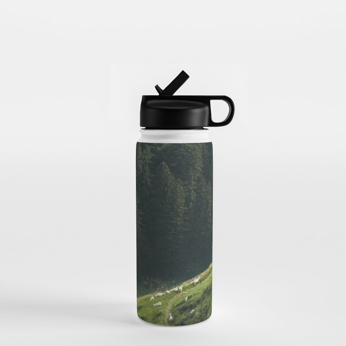 Sheep Trail in a Forest during a calm morning Water Bottle Gallery Image 1