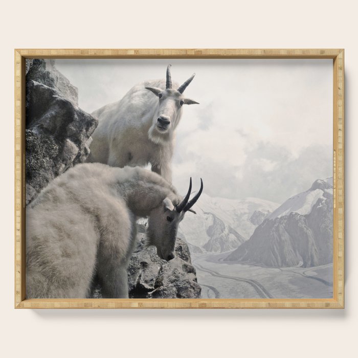 Hi, we are the mountain goats Serving Tray Gallery Image 1