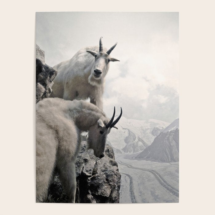 Hi, we are the mountain goats Poster Gallery Image 1