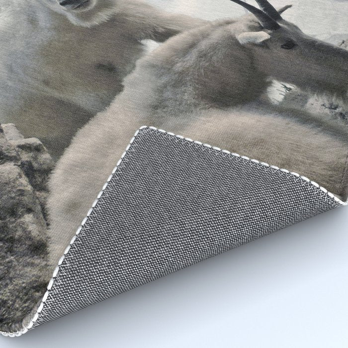Hi, we are the mountain goats Rug Gallery Image 4