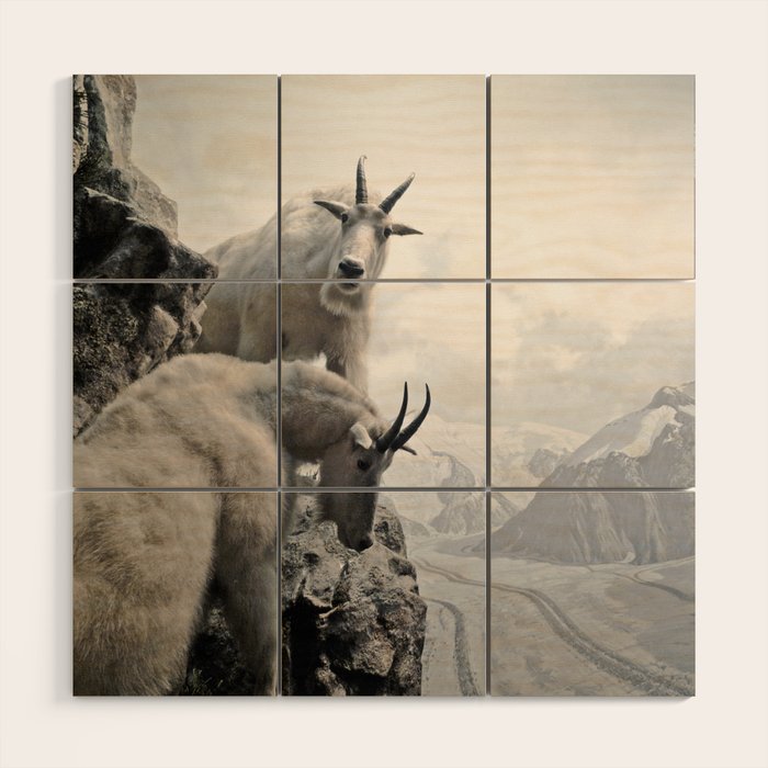 Hi, we are the mountain goats Wood Wall Art Gallery Image 1