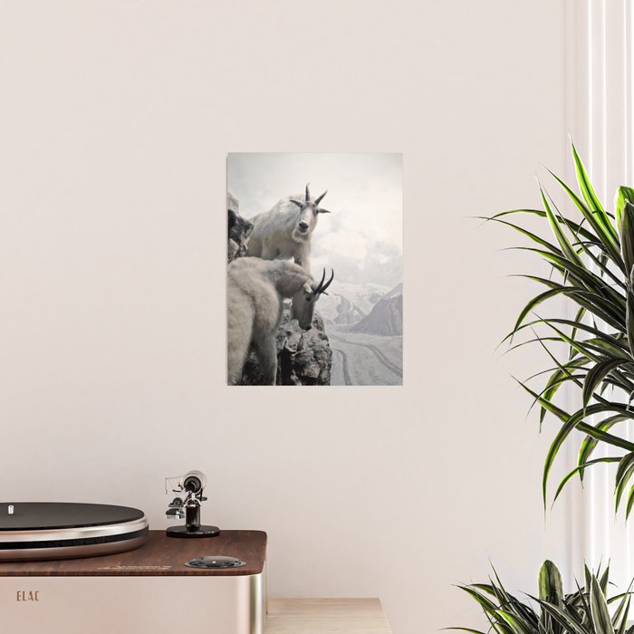 Hi, we are the mountain goats Poster Gallery Image 2