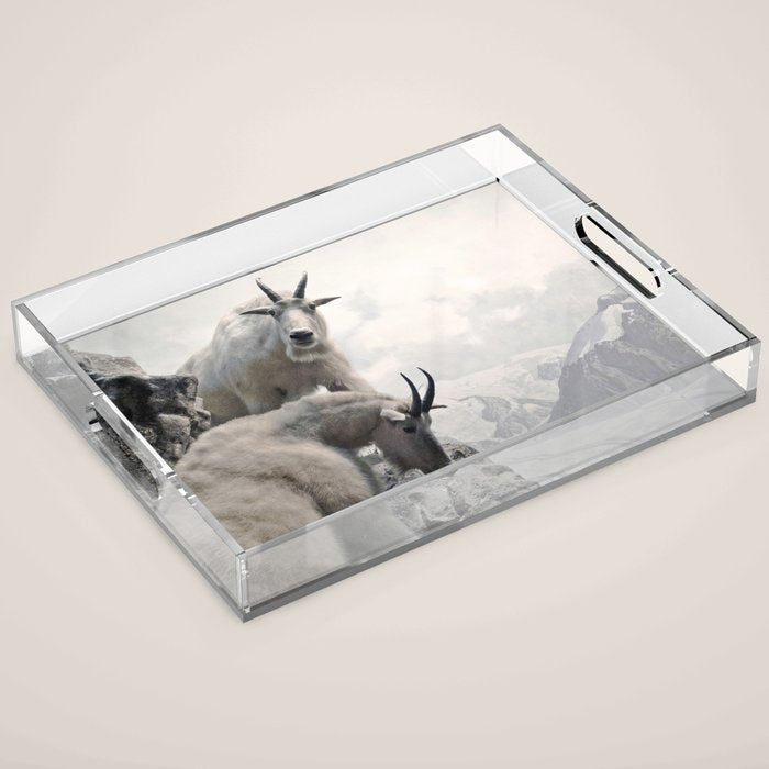 Hi, we are the mountain goats Acrylic Tray Gallery Image 1