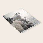 Hi, we are the mountain goats Notebook Gallery Image 2