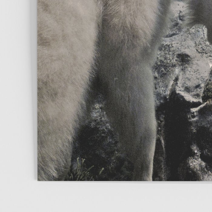 Hi, we are the mountain goats Poster Gallery Image 3