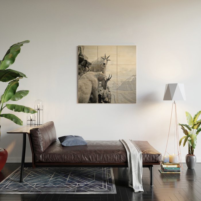 Hi, we are the mountain goats Wood Wall Art Gallery Image 2