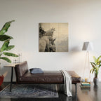 Hi, we are the mountain goats Wood Wall Art Gallery Image 2