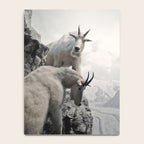 Hi, we are the mountain goats Notebook Gallery Image 4