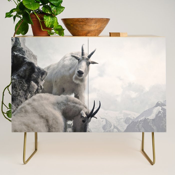 Hi, we are the mountain goats Credenza Gallery Image 1