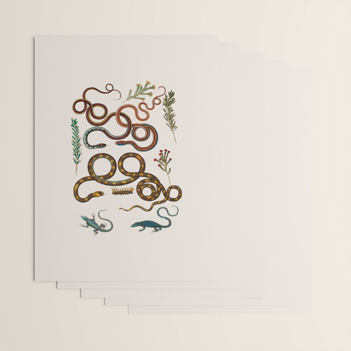 Albertus Seba Snakes And Lizards Wrapping Paper Gallery Image 3