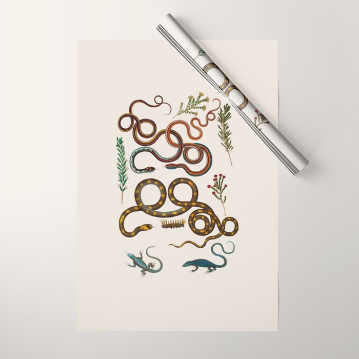 Albertus Seba Snakes And Lizards Wrapping Paper Gallery Image 1