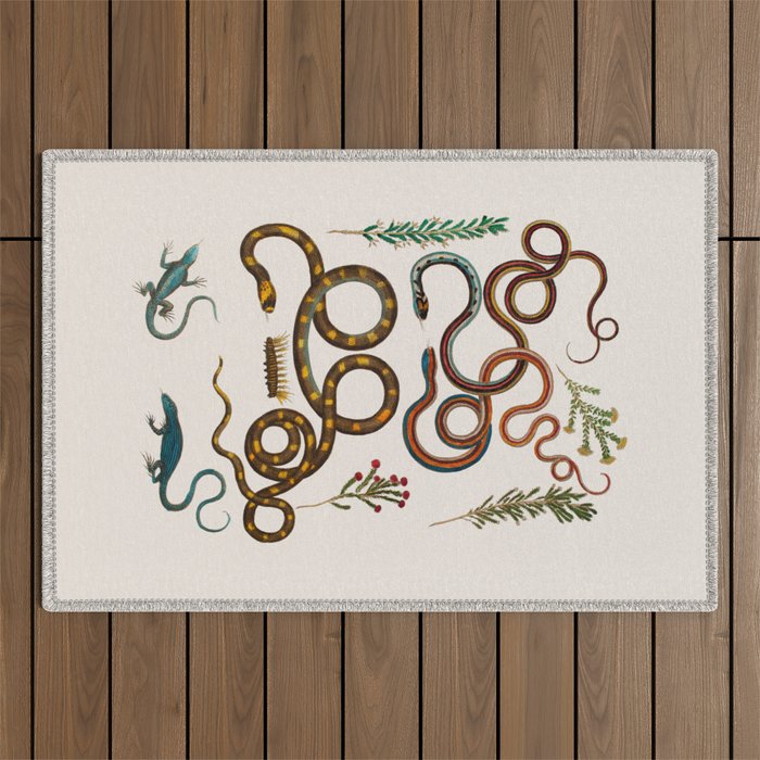 Albertus Seba Snakes And Lizards Outdoor Rug Gallery Image 1