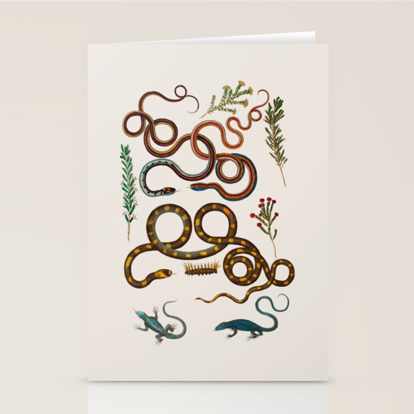 Albertus Seba Snakes And Lizards Stationery Card Gallery Image 2