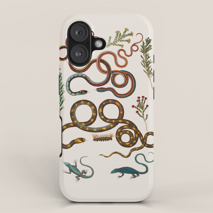 Albertus Seba Snakes And Lizards iPhone Case Gallery Image 1