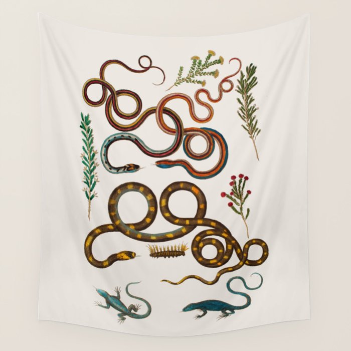 Albertus Seba Snakes And Lizards Wall Tapestry Gallery Image 4