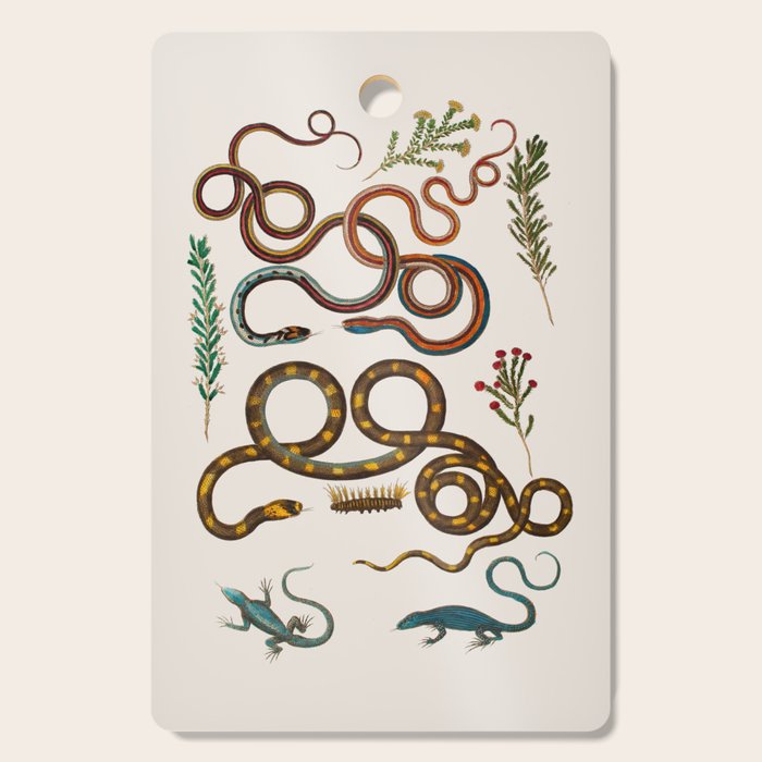 Albertus Seba Snakes And Lizards Cutting Board Gallery Image 1
