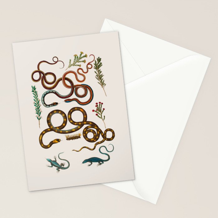 Albertus Seba Snakes And Lizards Stationery Card Gallery Image 2