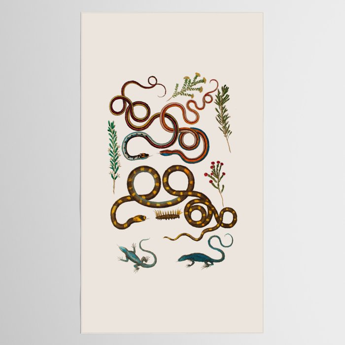 Albertus Seba Snakes And Lizards Tablecloth Gallery Image 2