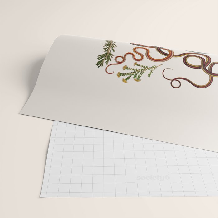 Albertus Seba Snakes And Lizards Wrapping Paper Gallery Image 2
