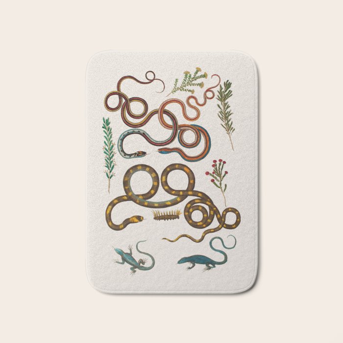 Albertus Seba Snakes And Lizards Bath Mat Gallery Image 1