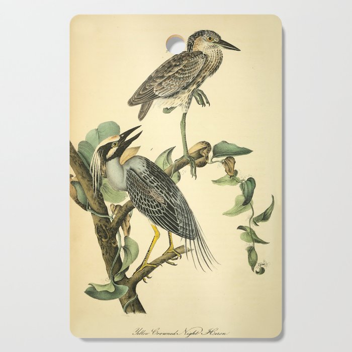 Yellow-crowned night heron by John Hames Audubon, 1840 (benefitting The Audubon Society) Cutting Board Gallery Image 1
