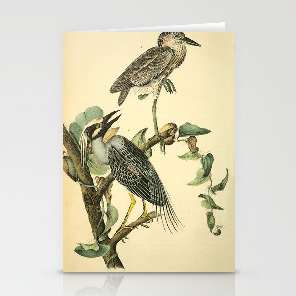 Yellow-crowned night heron by John Hames Audubon, 1840 (benefitting The Audubon Society) Stationery Card Gallery Image 2