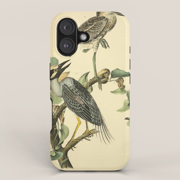 Yellow-crowned night heron by John Hames Audubon, 1840 (benefitting The Audubon Society) iPhone Case Gallery Image 1