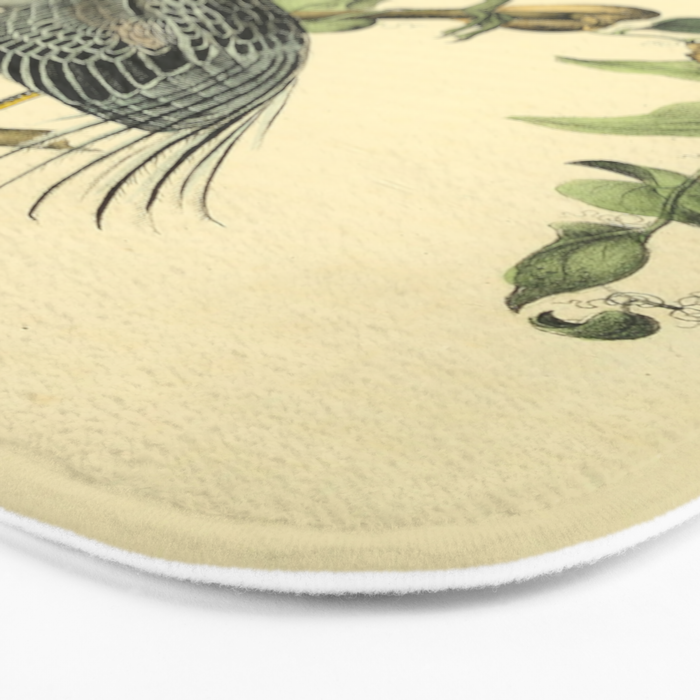 Yellow-crowned night heron by John Hames Audubon, 1840 (benefitting The Audubon Society) Bath Mat Gallery Image 3
