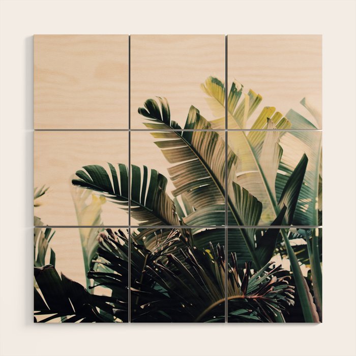 Paradise #4 Wood Wall Art Gallery Image 1