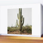 Arizona's Cactus Wall Mural Gallery Image 2