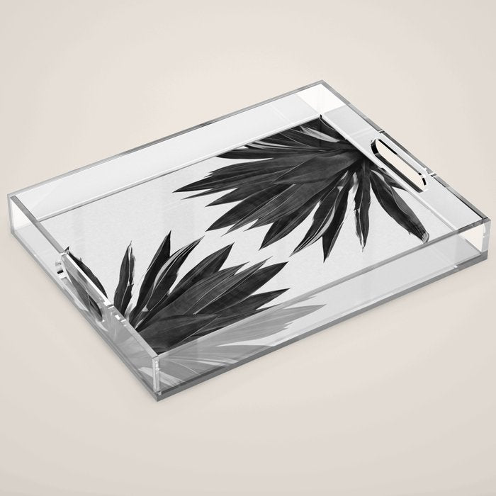 Agave Cactus Black & White Acrylic Tray Gallery Image 1