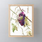 Grapes, California Vineyard Wine Lover design Mini Art Print Gallery Image 1