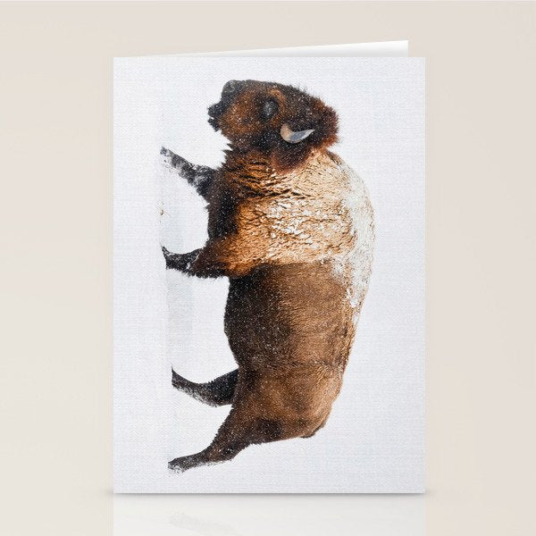 Buffalo In The Snow Stationery Card Gallery Image 2