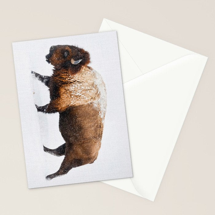 Buffalo In The Snow Stationery Card Gallery Image 2