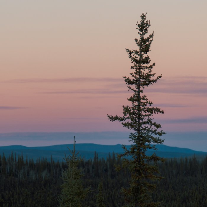 Yukon Evening Coffee Mug Gallery Image 2