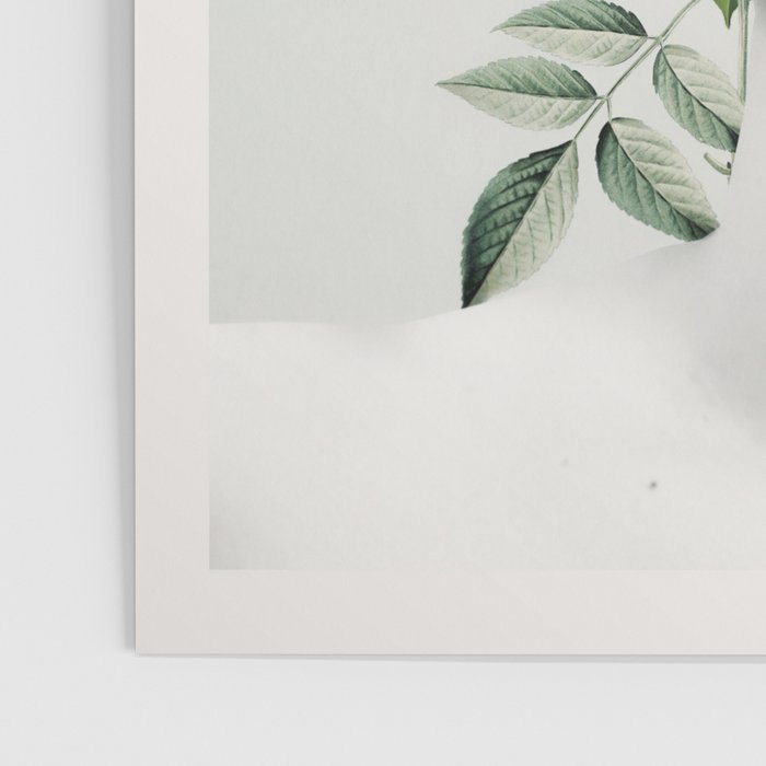 In Bloom 36 Poster Gallery Image 3