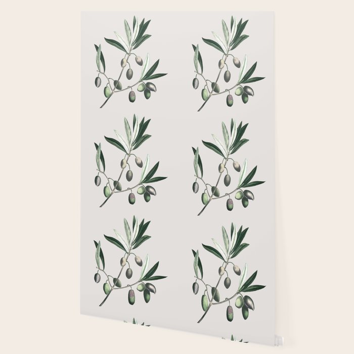 Olive Tree Branch Wallpaper Gallery Image 2