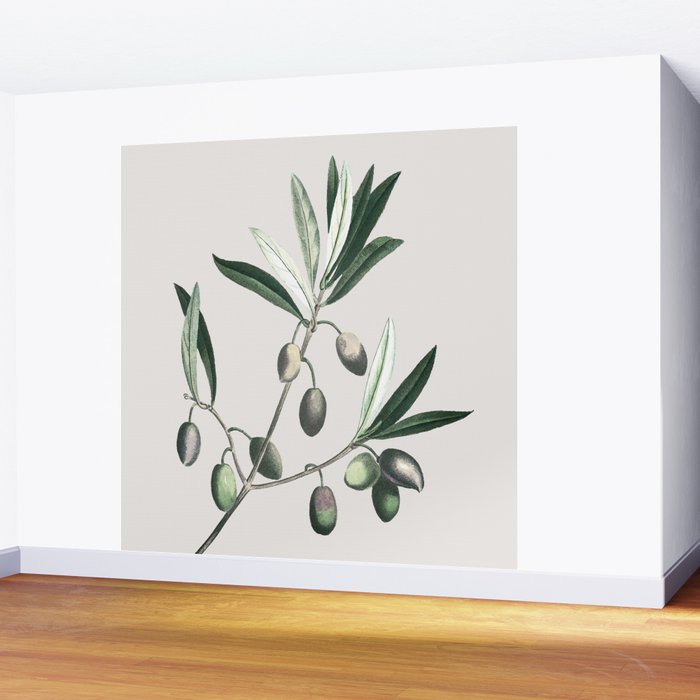 Olive Tree Branch Wall Mural Gallery Image 2