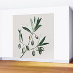 Olive Tree Branch Wall Mural Gallery Image 2