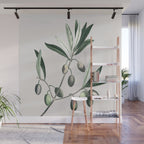 Olive Tree Branch Wall Mural Gallery Image 1