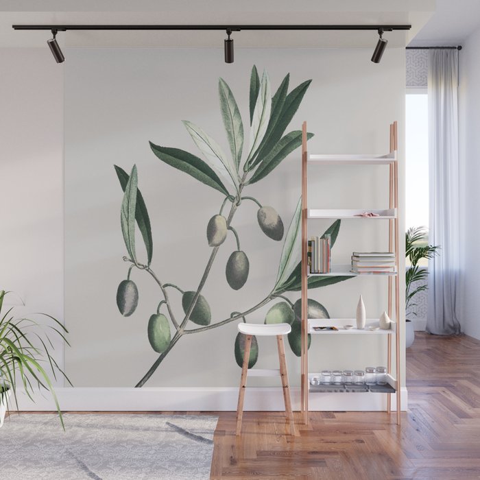 Olive Tree Branch Wall Mural Gallery Image 1