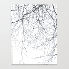BLACK BRANCHES Notebook Gallery Image 4