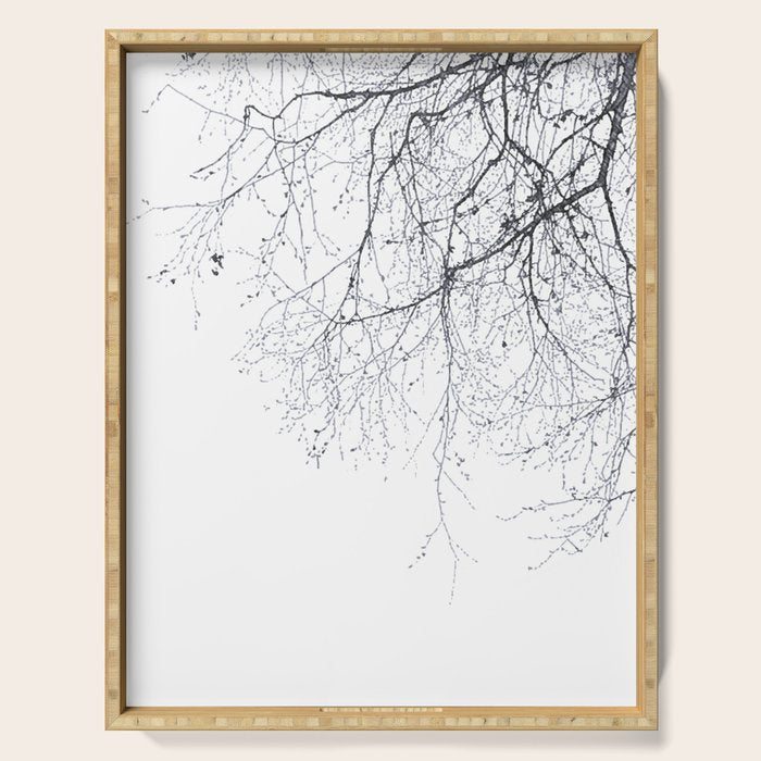 BLACK BRANCHES Serving Tray Gallery Image 1